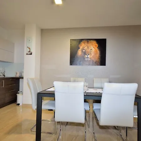 The Nikolic - Woegenstein *