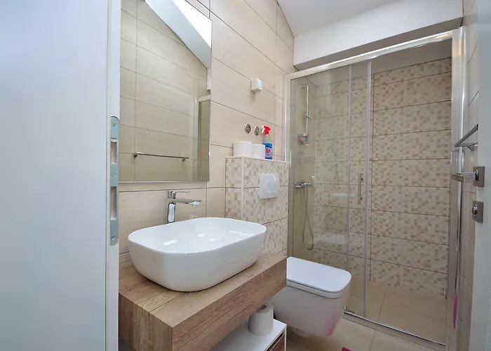 The Nikolic - Woegenstein Tribalj